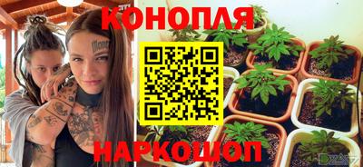 ПСИЛОЦИБИНОВЫЕ ГРИБЫ Балахна