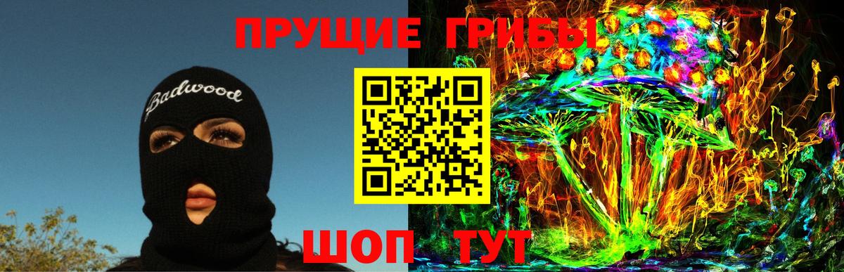 Галлюциногенные грибы GOLDEN TEACHER  Галлюциногенные грибы Psilocybine cubensis  Вход с VPN  Жуковский 