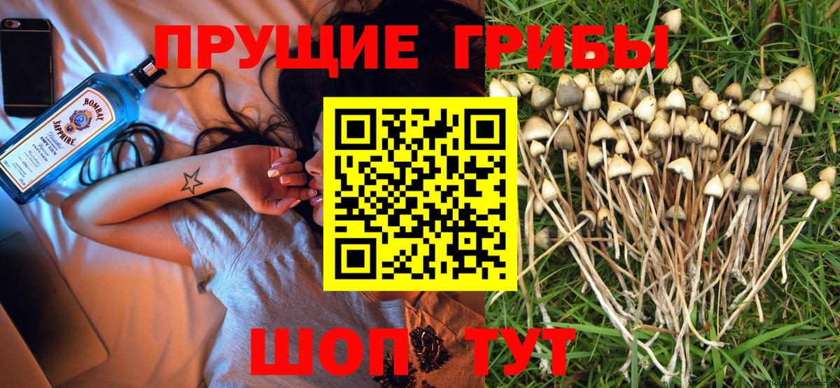 Псилоцибиновые грибы MAGIC MUSHROOMS Жуковский